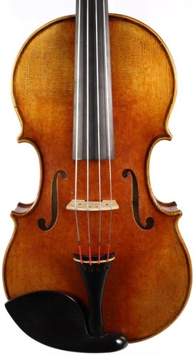 Custom viola case - viola,